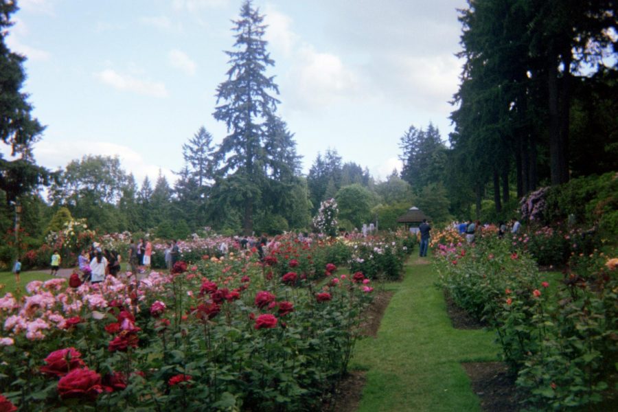 First experience of the Rose Garden. The calm beauty of the Rose Garden made me feel mystical in a renaissance princess.