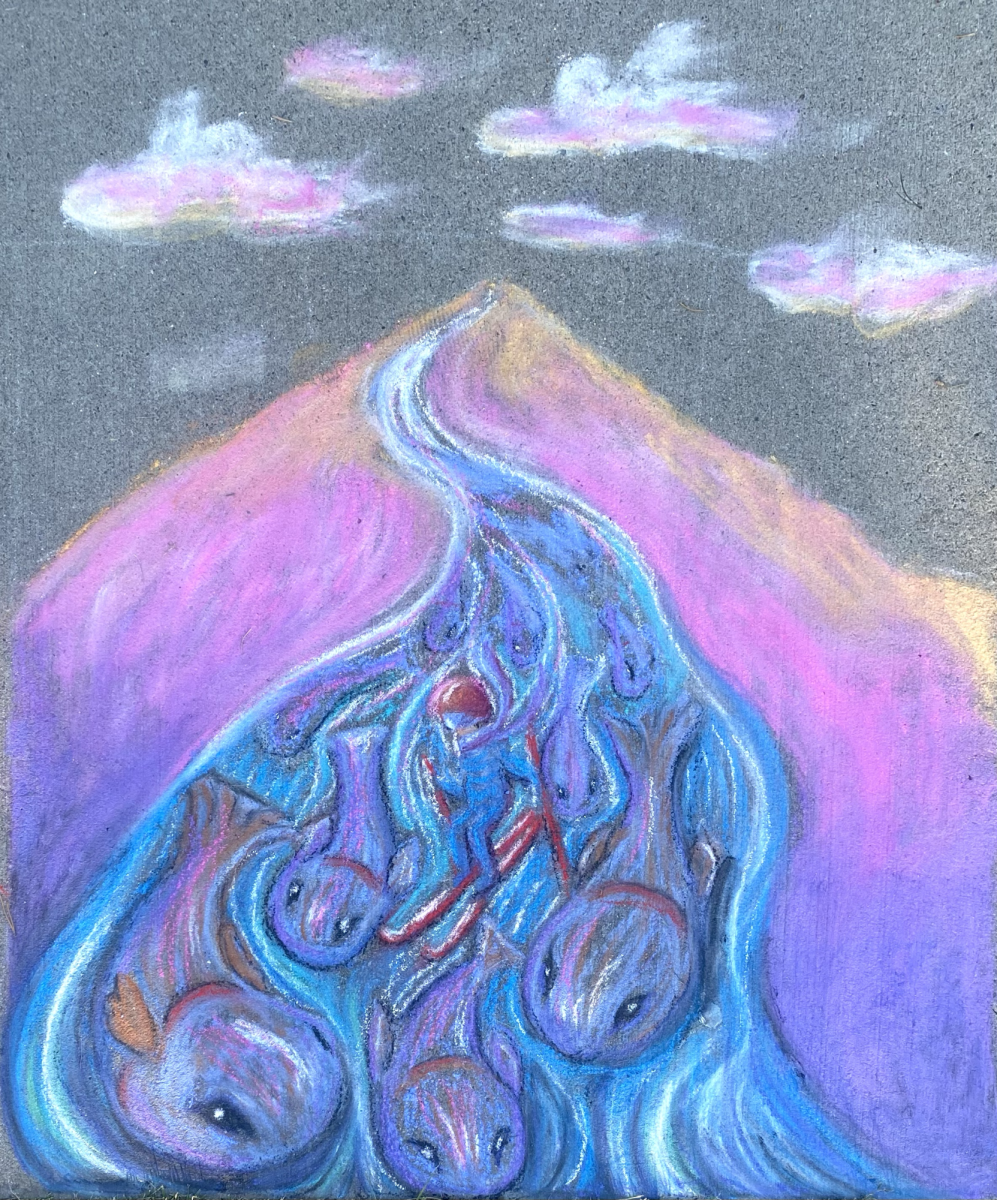 "Cutthroat Slope"
Chalk pastels on sidewalk by Fiona Daley