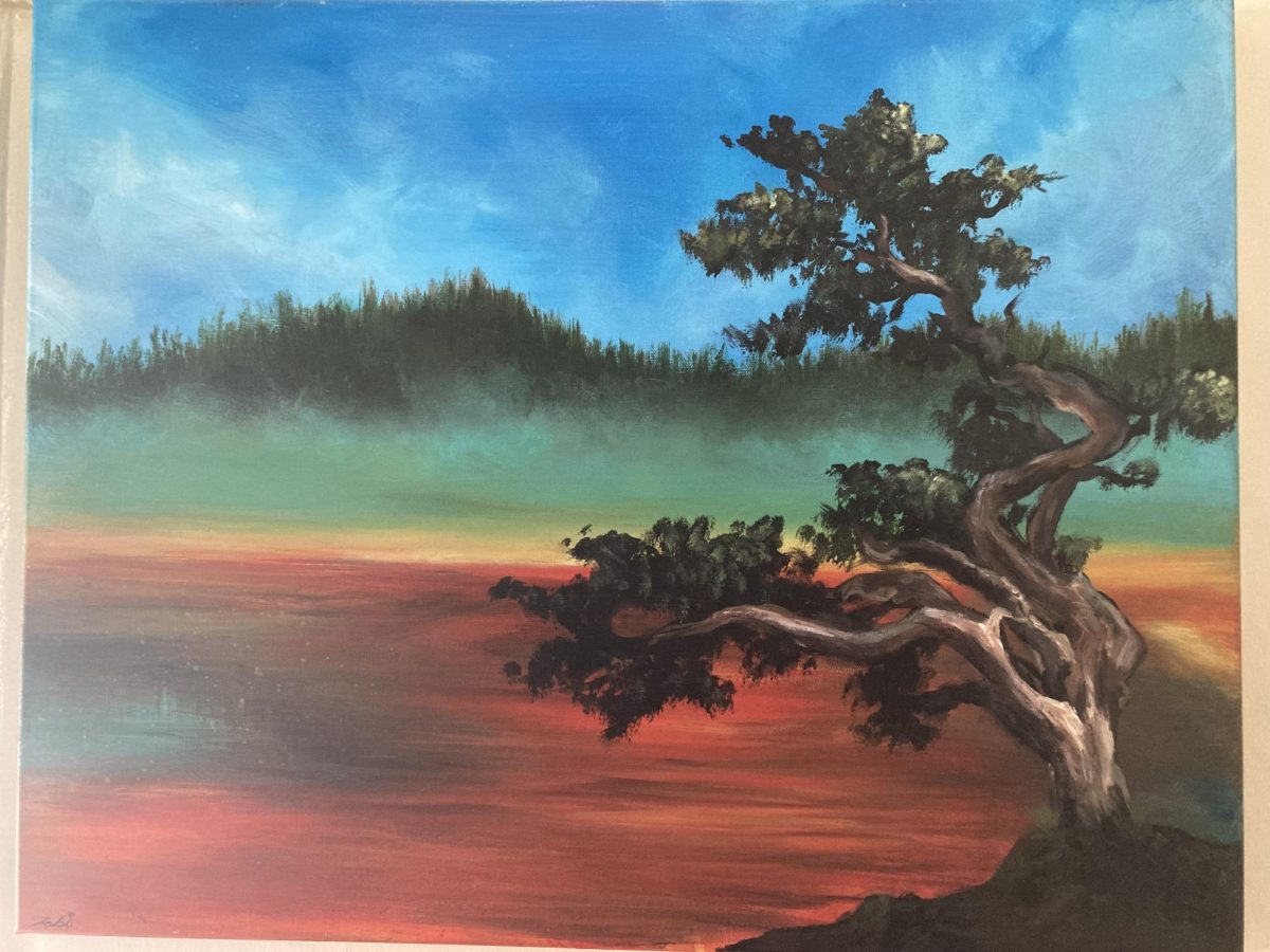 "Rainbow Pool"
Acrylic on canvas by Tabitha Baber