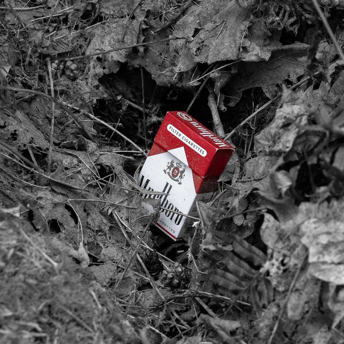 "The Red Death"