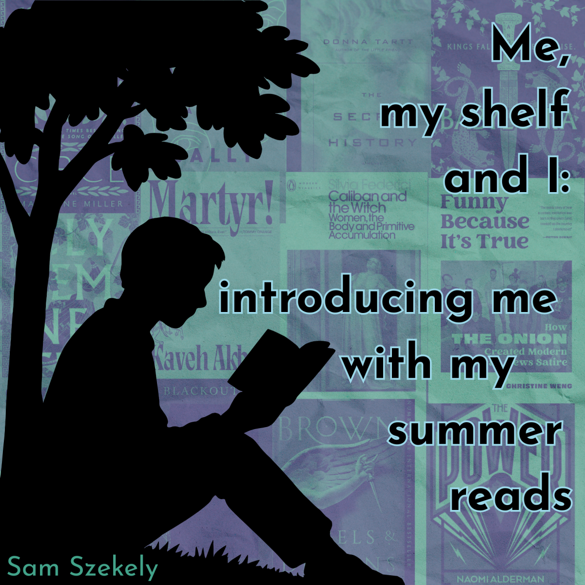 Me, me shelf and I: Introducing me with my summer reads