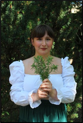 A person holds a bouquet of sprigs in the forest.