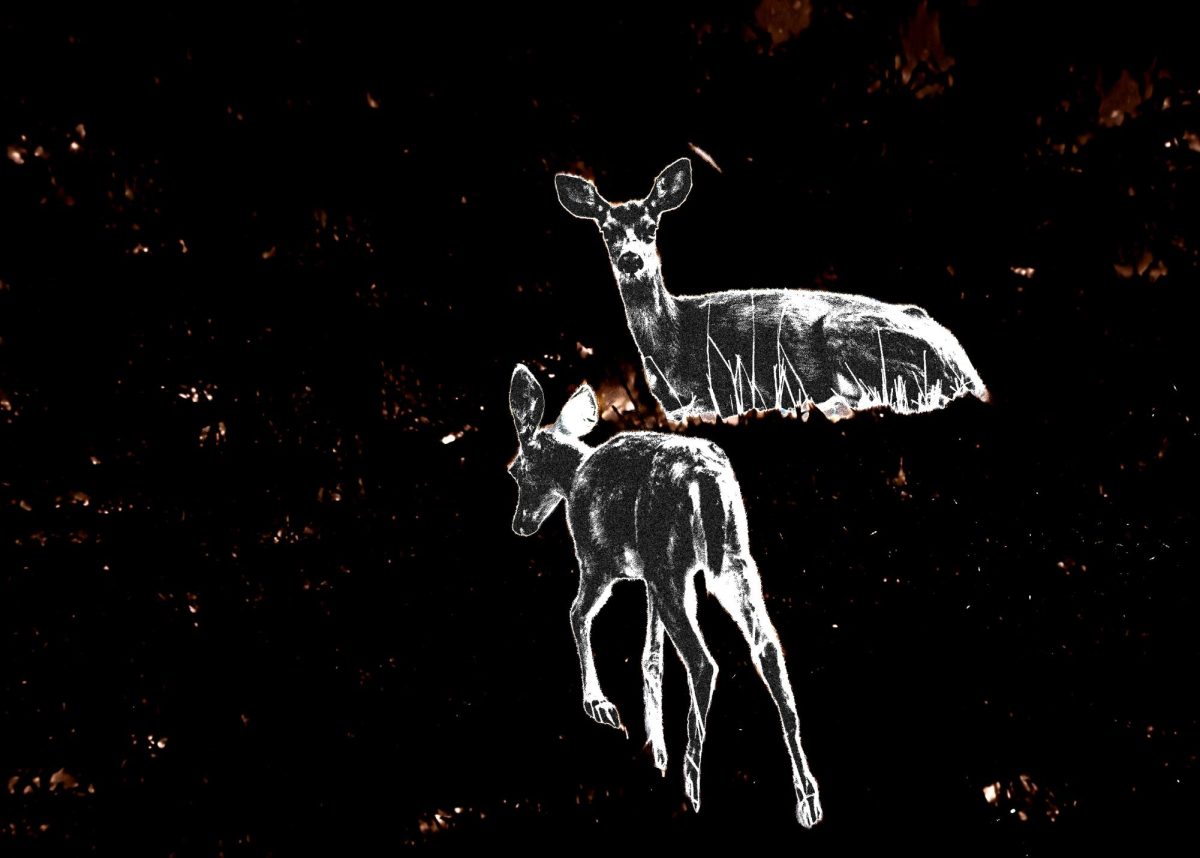 "Spectres of a world not yet lost"
Altered photography by Nik Vagenius