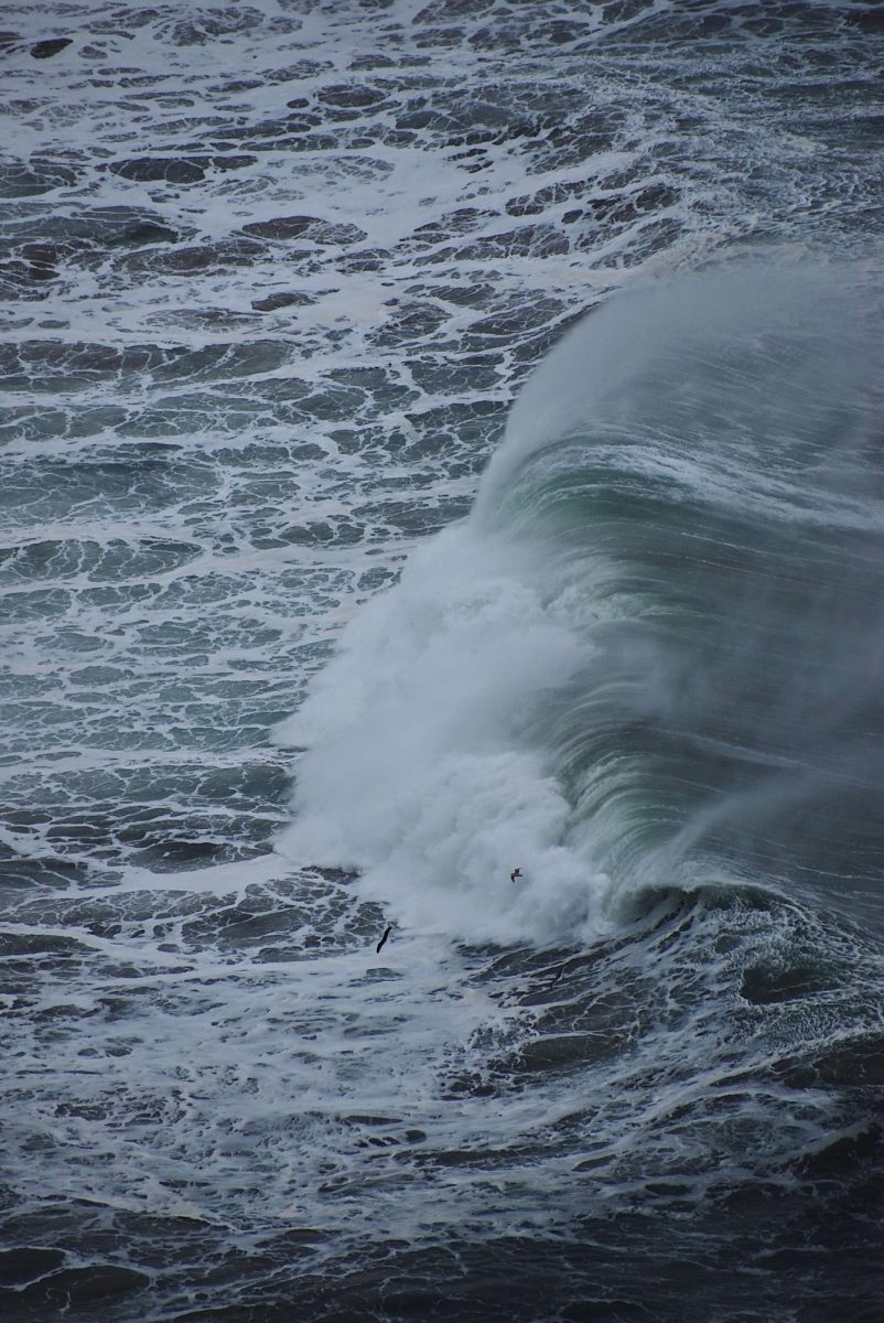 "Breath of a giant"
Photography by Ella Ciffone