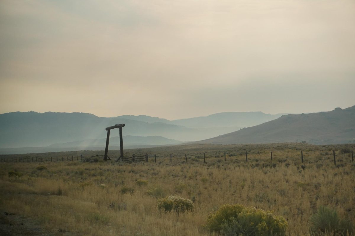 "Rural Haze"
Photography by Montana Burack
